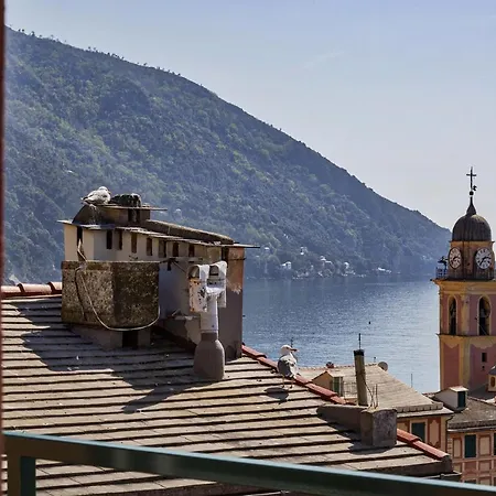 Apartamento Attico Vista Mare Sul Porticciolo Di Camogli Exterior foto